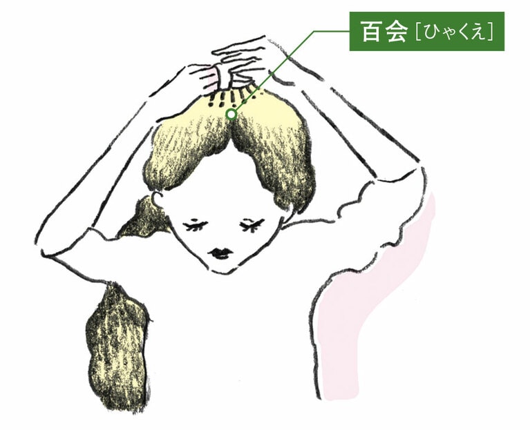 多くの経絡が集中する百会(ひゃくえ)のツボを刺激。