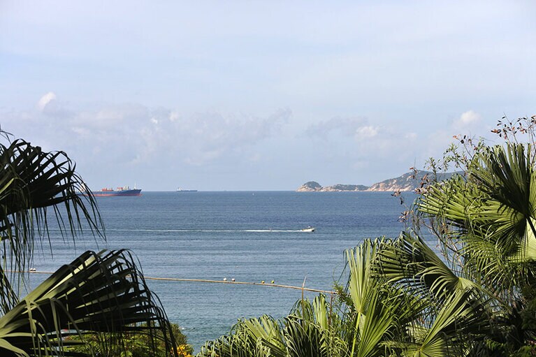 香港島の南部。ヤシの木々に包まれ、トロピカルな風情。