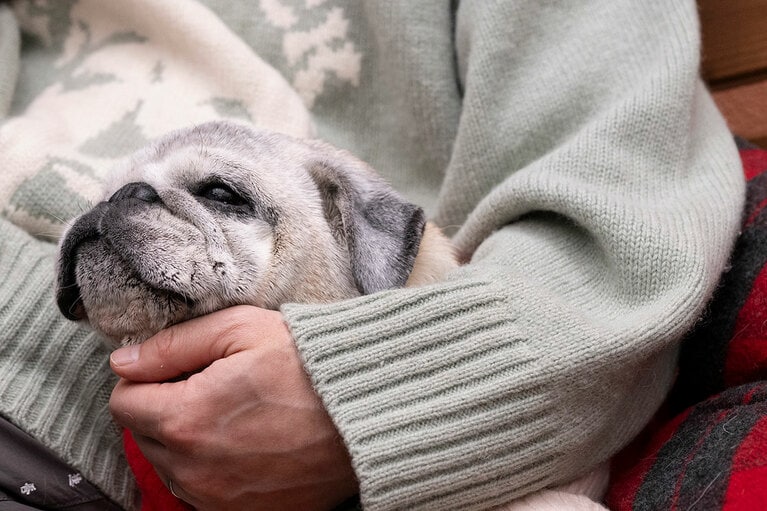 アザーカット。