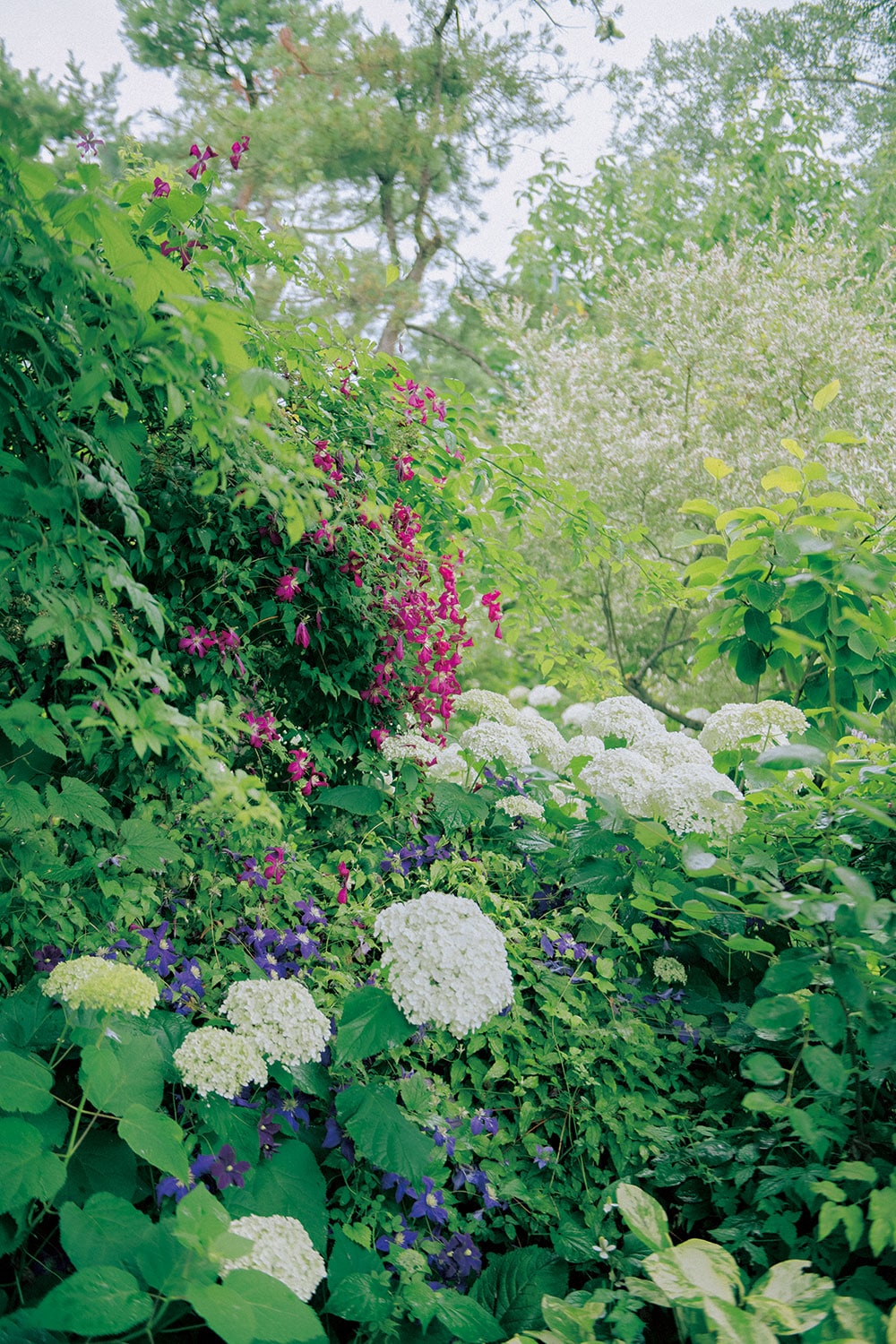 北海道】来訪者を癒すガーデン 風が心地よい、心づくしの庭園 | 大地の