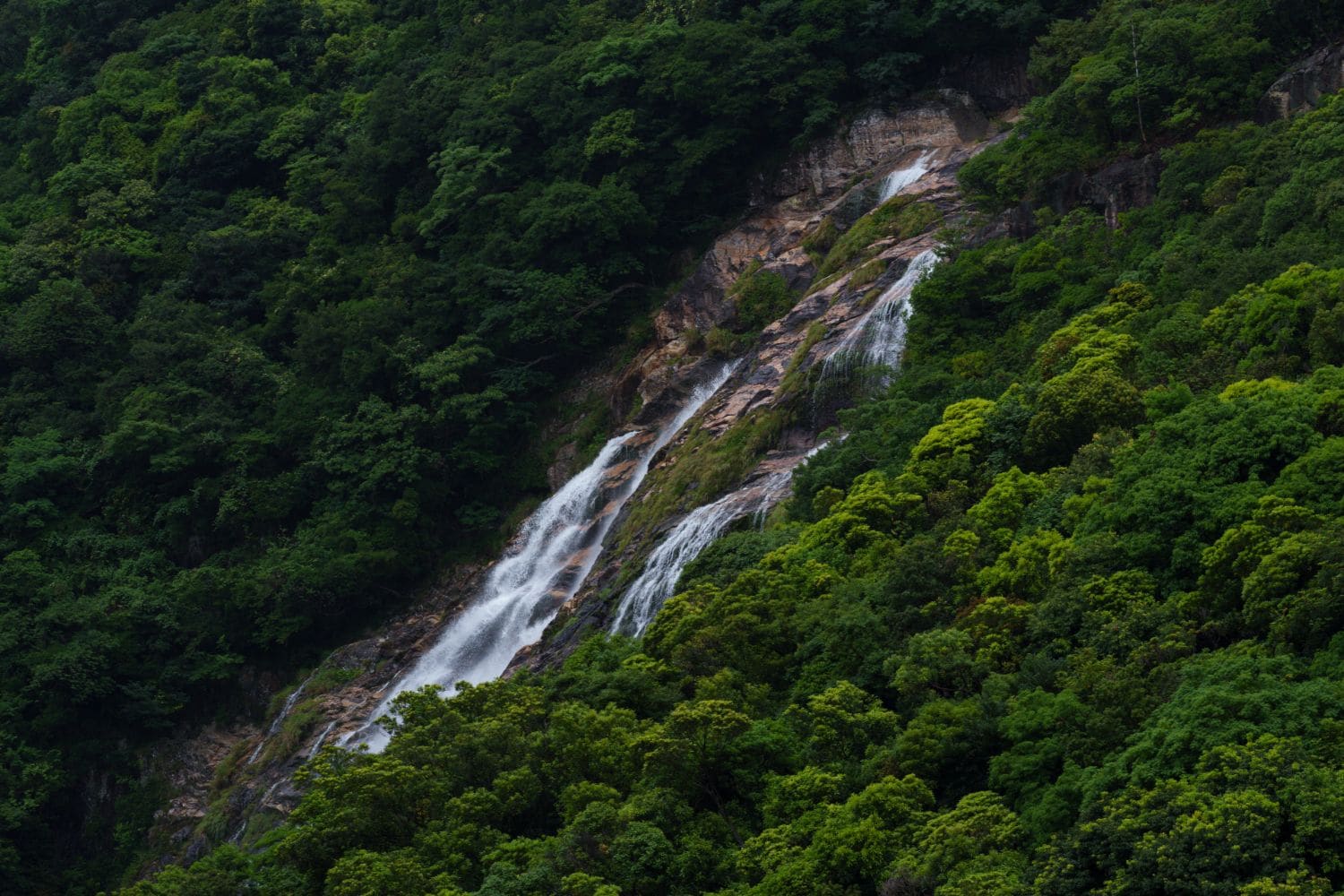 急峻な山肌を流れ落ちる大川の滝　©️大島淳之