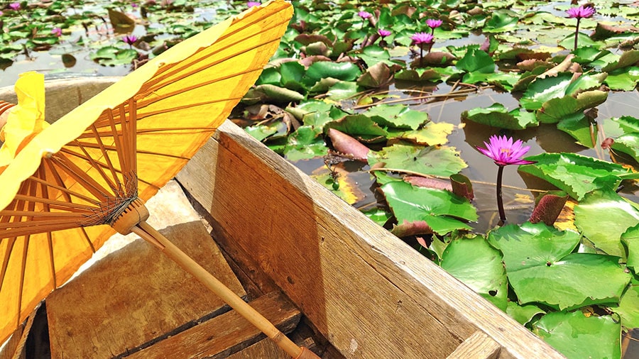 花の隙間を縫うようにボートが進んでいきます。