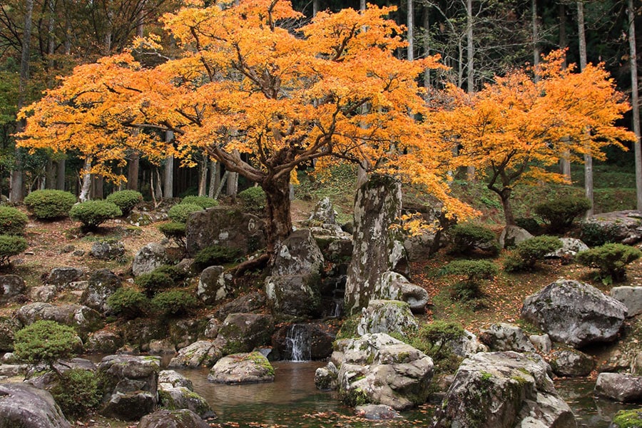 【福井県】一乗谷朝倉氏遺跡。