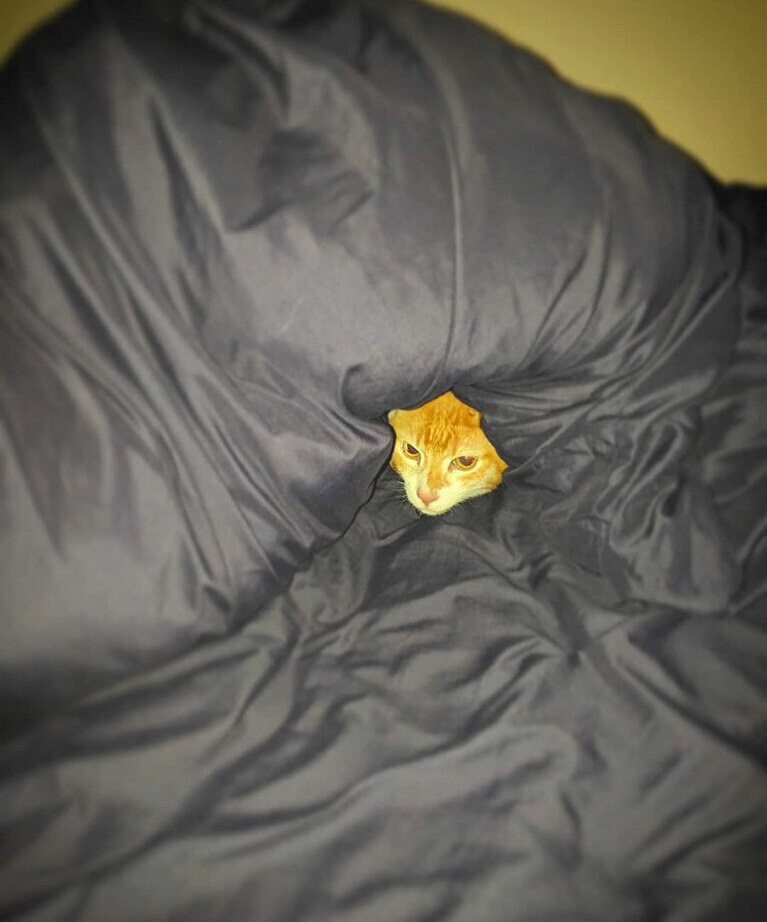 布団にくるまる大久保くん。