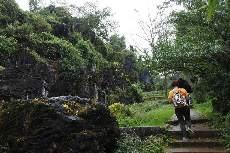 ハイキングしながら、景観の変化を楽しめるハムロンの丘。