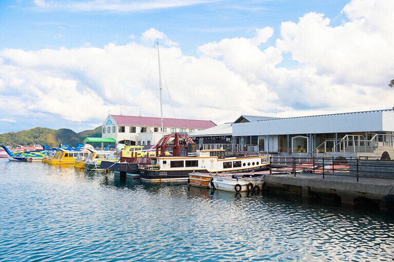 隣接する青海島観光汽船の発着所。海上アルプスと呼ばれる青海島の周遊コースが人気。