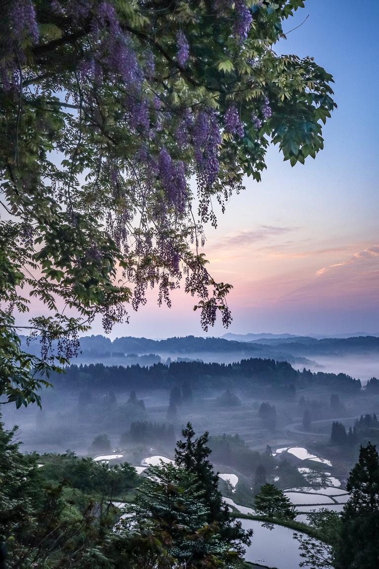 「棚田の夜明け」　蕪木佳子 2025年5月21日、十日町市星峠の棚田