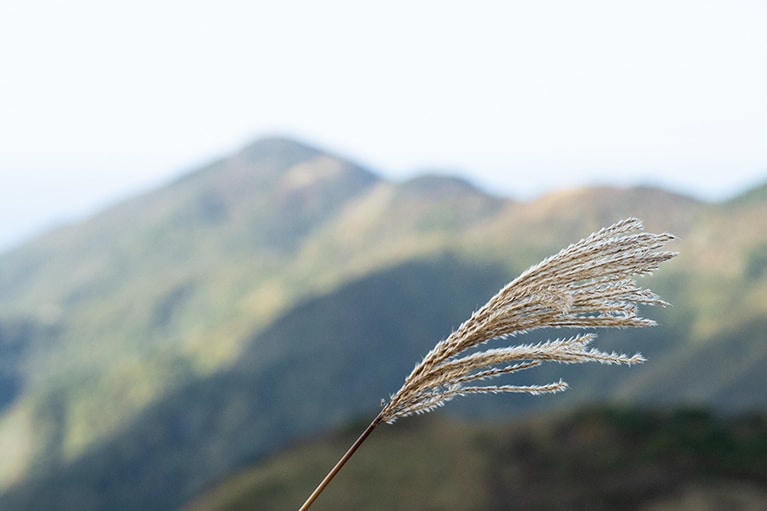 佐渡の自然を感じるトレッキングルートはさまざま。体力に合わせて楽しんで。