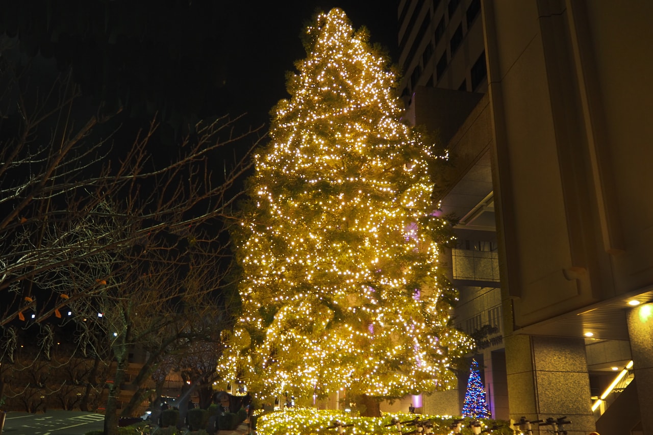 ガーデンタワーのクリスマスツリー。