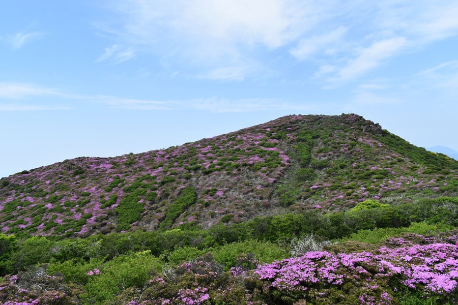 仙酔峡。