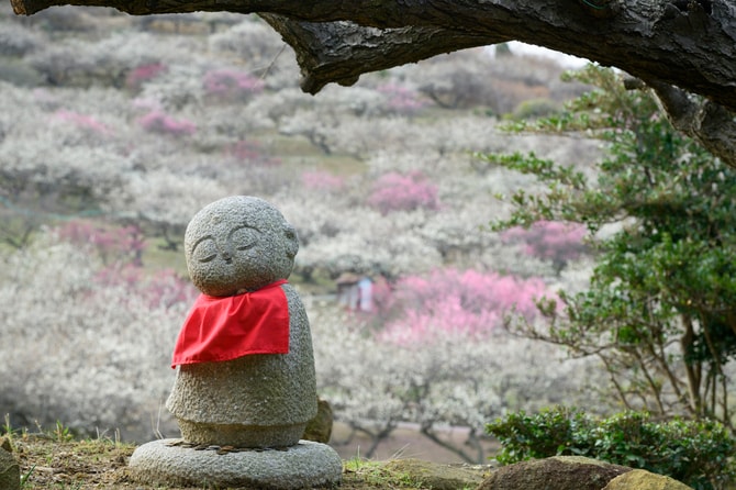 早春の絶景散歩》紅白の梅の先には瀬戸内海、園内には古墳も！西日本随