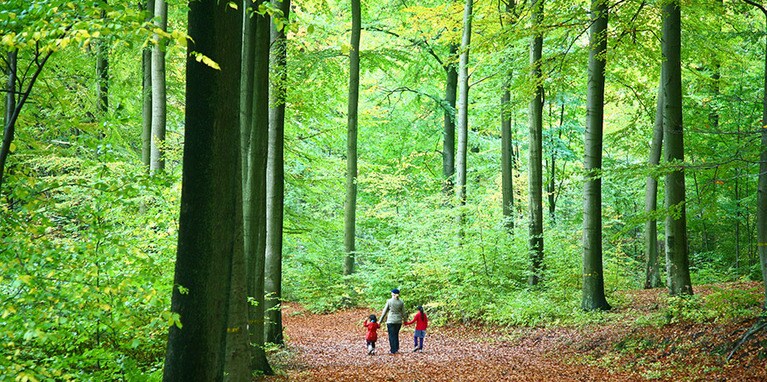 家族と過ごす時間をとても大切にするデンマーク人。心地よい自然とふれあいながら過ごすのも、素敵なヒュッゲのひととき。Photo: Jean Schweitzer/123RF