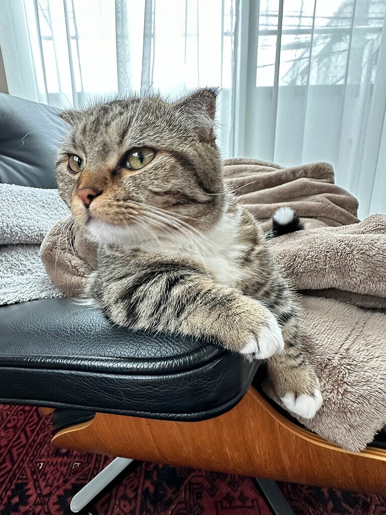 モンク ♀ 1歳。部長感が堪りません！（RAZZOさん）