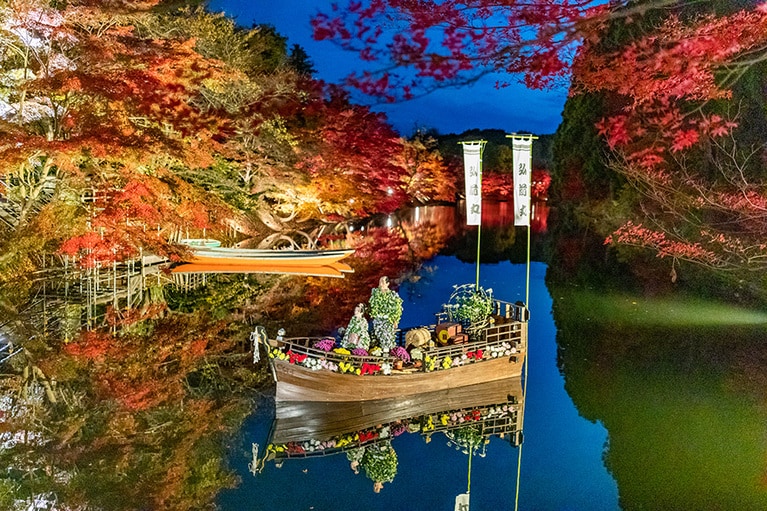 【青森県】弘前城菊と紅葉まつり。