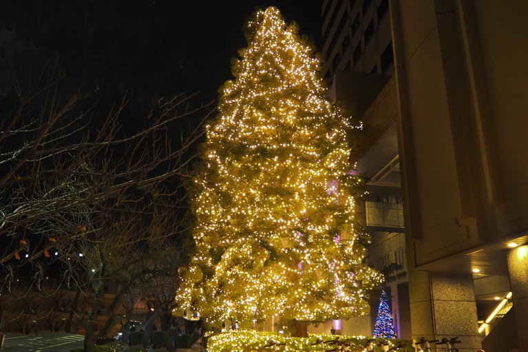 ガーデンタワーのクリスマスツリー。