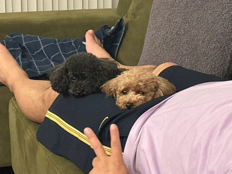 兼光さんの脚の間でくつろぐ2匹。