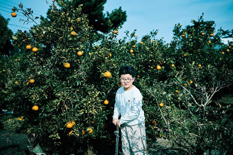 挟才の海に向かう途中、不意に出会ったカフェのオーナーが営むハルラボンの農園。島の至る所でオレンジ色が見え隠れする。