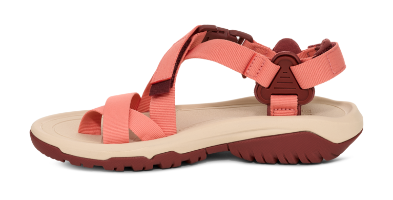 「Hurricane Terra Dactyl」