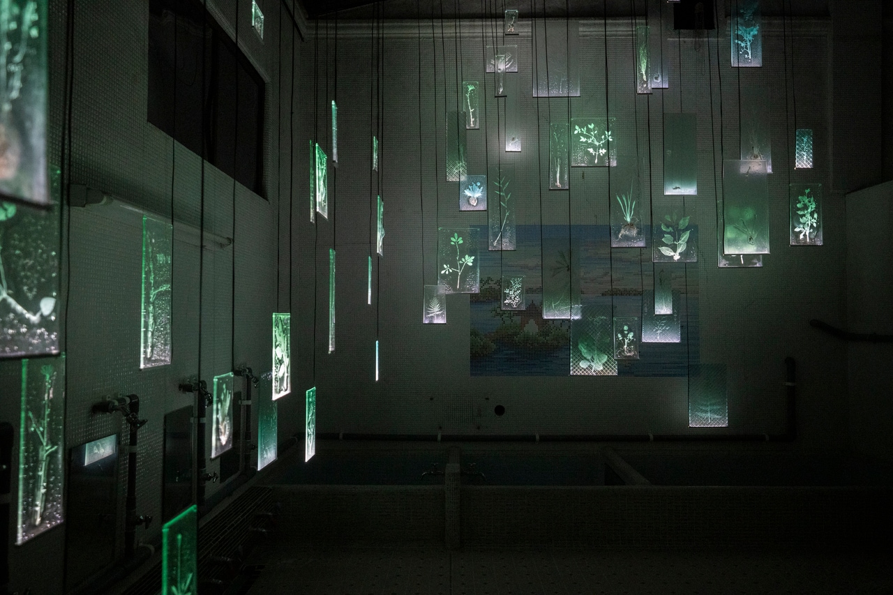 佐々木類《忘れじのあわい》2025