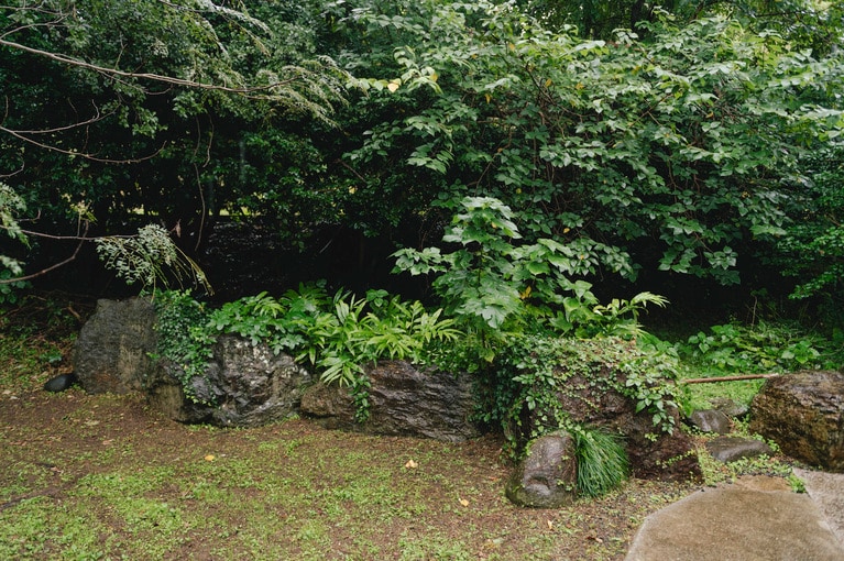 中庭には、山椒や茗荷などが自生。少量づつ収穫して、その日の料理に使っているそう。