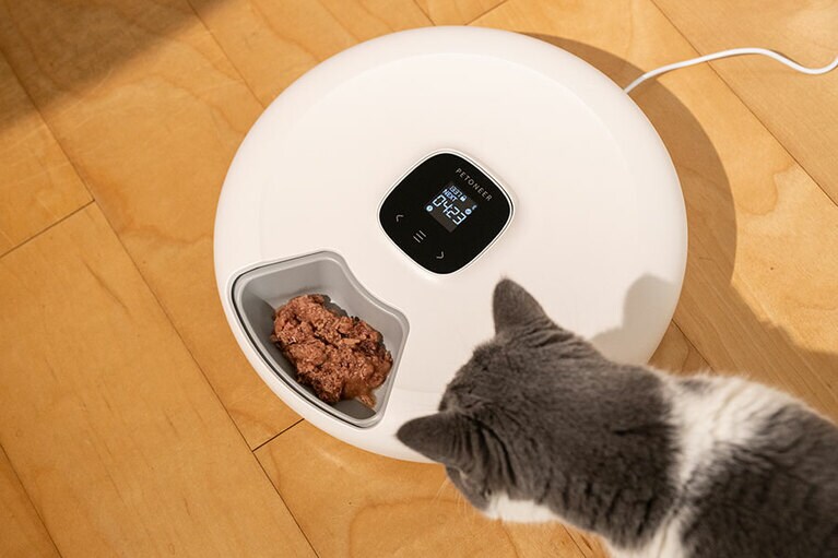 興味津々です。