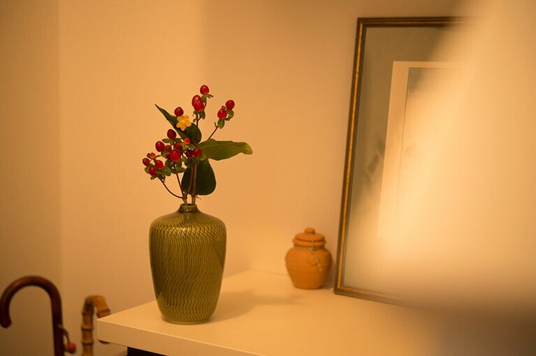 口の細い花瓶に飾ると楚々とした雰囲気に。