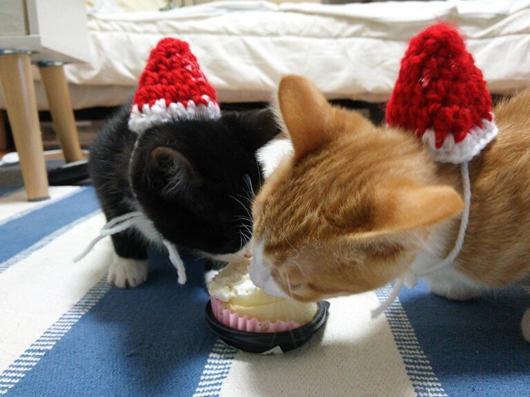 手編みのサンタ帽！ きっと親指ほどのサイズです。