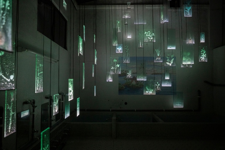 佐々木類《忘れじのあわい》2025