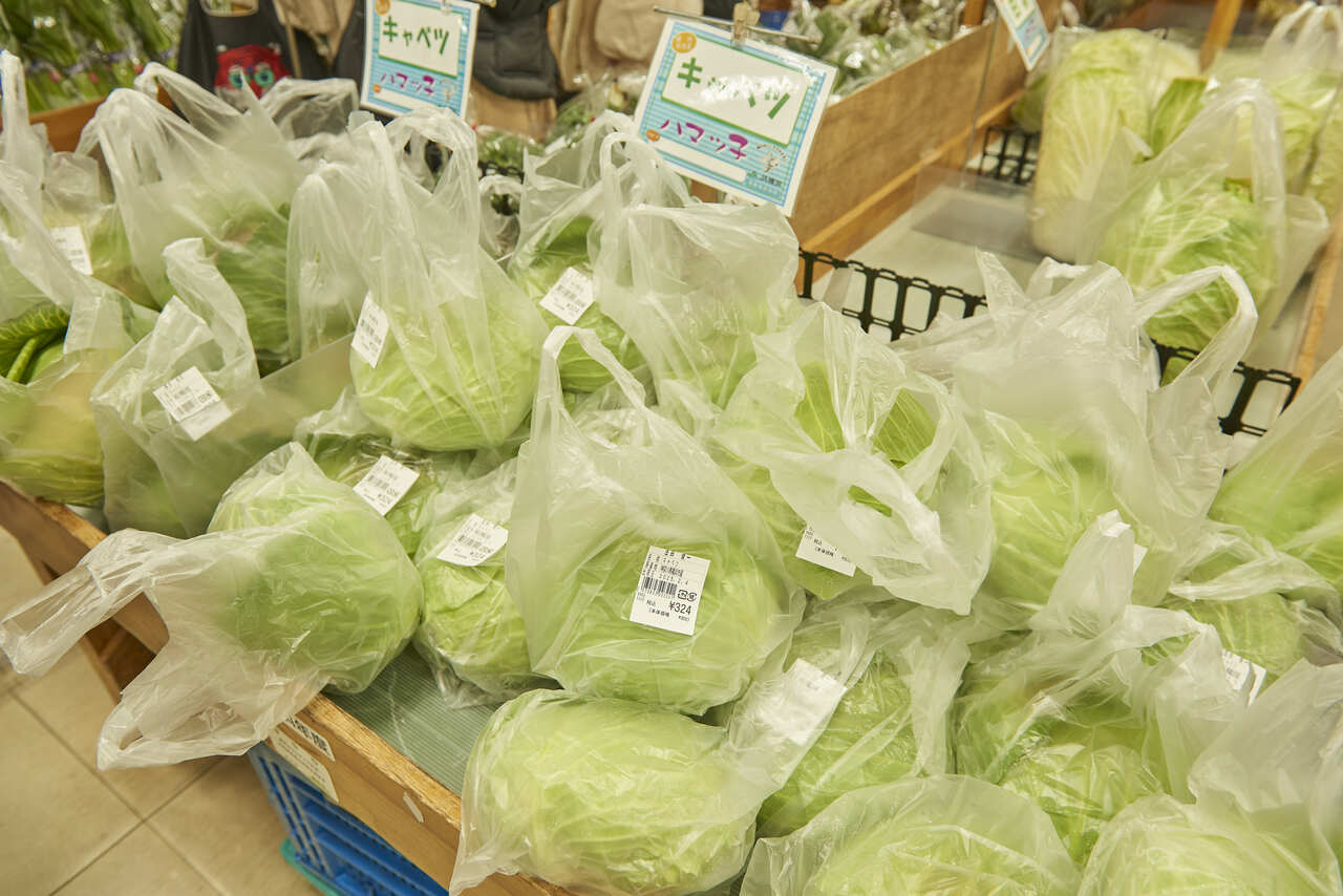 実は横浜はキャベツ生産量の多い地域。顔の大きさほどあるキャベツが一玉、ビニール袋にまるっと入っている。