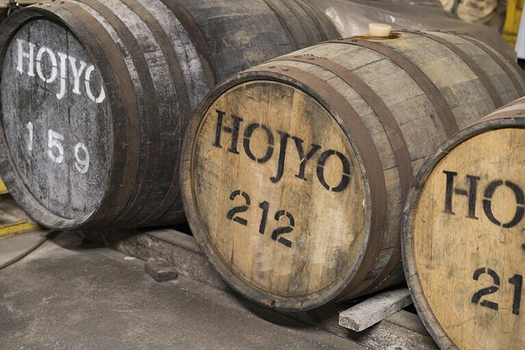 戦時中に創業した「北条ワイン醸造所」。山陰最古のワイナリーの老舗は、少数精鋭の実力派。