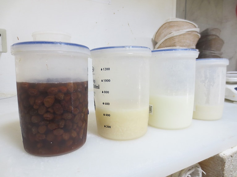 自家製酵母。左から、レーズン、麹、ヨーグルト、ルヴァン。