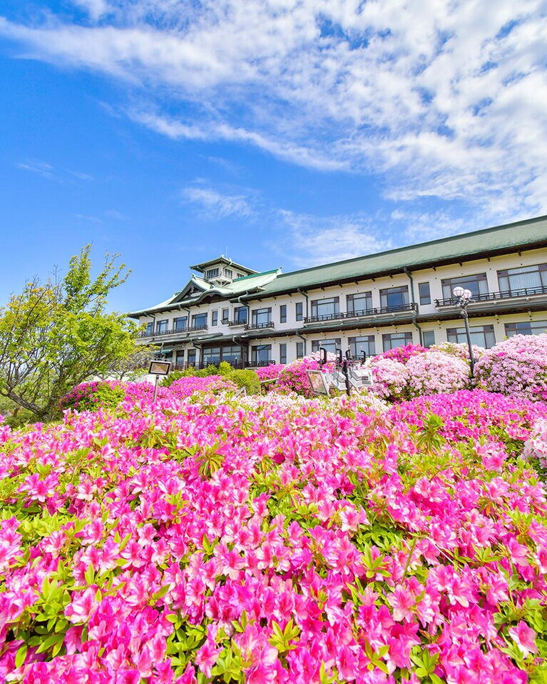 蒲郡クラシックホテル つつじまつり。