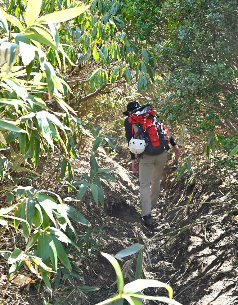 意外と険しい……。草をかき分けぐんぐん登る。