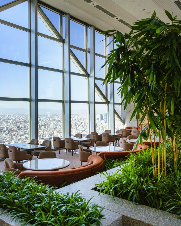 地上41階でエレベーターのドアが開くと広がるのは、爽やかな緑が溢れるバイオフィリックな空間。パーク ハイアット 東京の象徴として親しまれてきた「ピーク ラウンジ&バー」もこのたび美しく再構築。