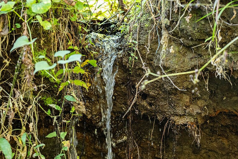 新潟県・里山十帖の秋