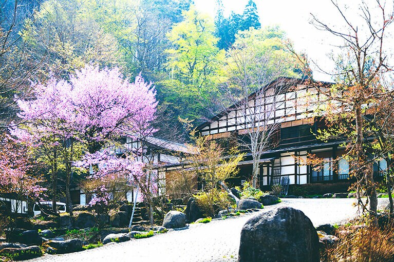 貝掛温泉［新潟／貝掛温泉］外観春。