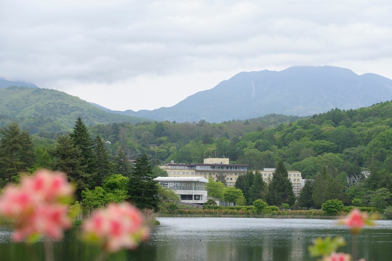 同社が運営する宿泊施設、タイニーガーデン蓼科と「EKAL 道の駅ビーナスライン蓼科湖店」も蓼科湖の周辺に立地する。