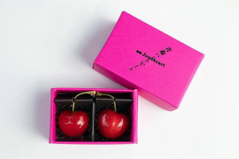 まるで高級ショコラのように納められている。