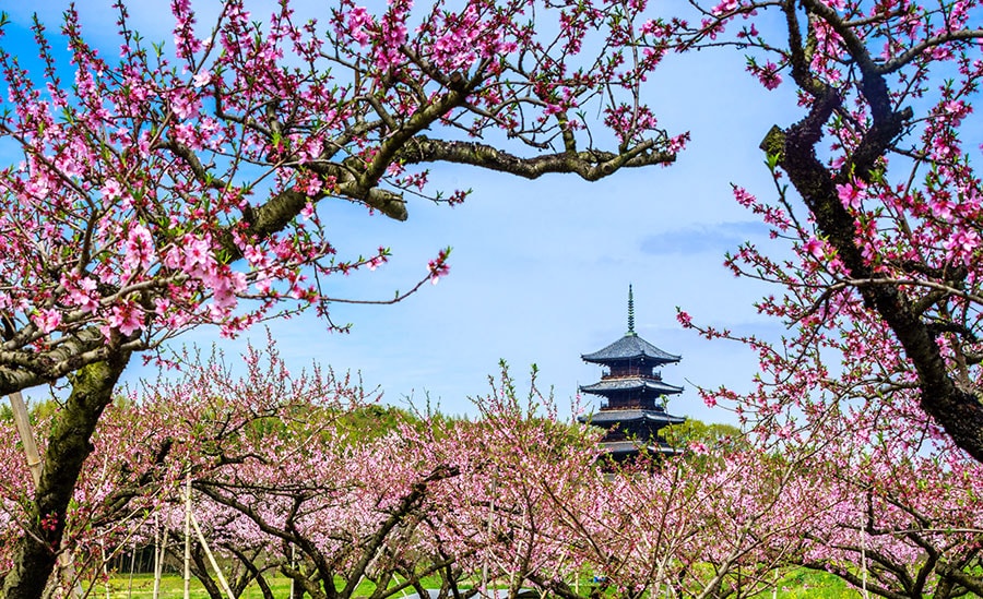 【岡山県】備中国分寺。