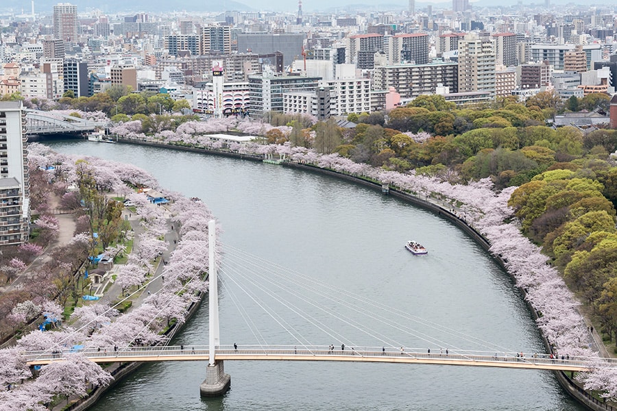 【大阪府】川崎橋からの桜。
