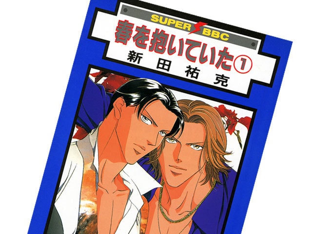 ☆BLコミック　全22巻　春を抱いていた　シリーズ　新田祐克 BLコミック 全22巻 春を抱いていた シリーズ 新田祐克