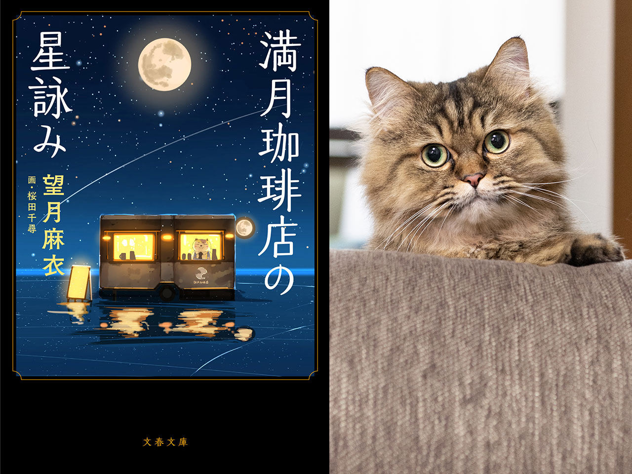 『満月珈琲店の星詠み』（文春文庫）と望月さんの愛猫・レオくん。