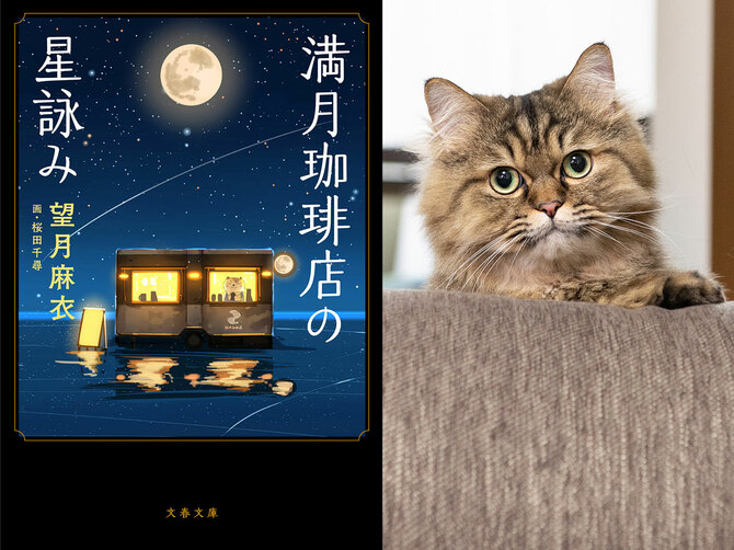 人はみな、もっと猫を見習うべき」シリーズ累計60万部突破の『満月珈琲