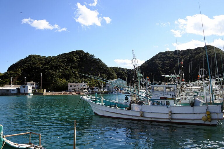 漁船が並ぶ勝浦漁港。リアス海岸に守られた天然の良港です。