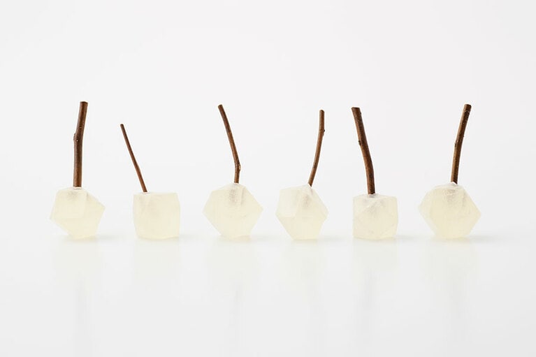 鉱物の実 6個入り 1,296円／御菓子丸