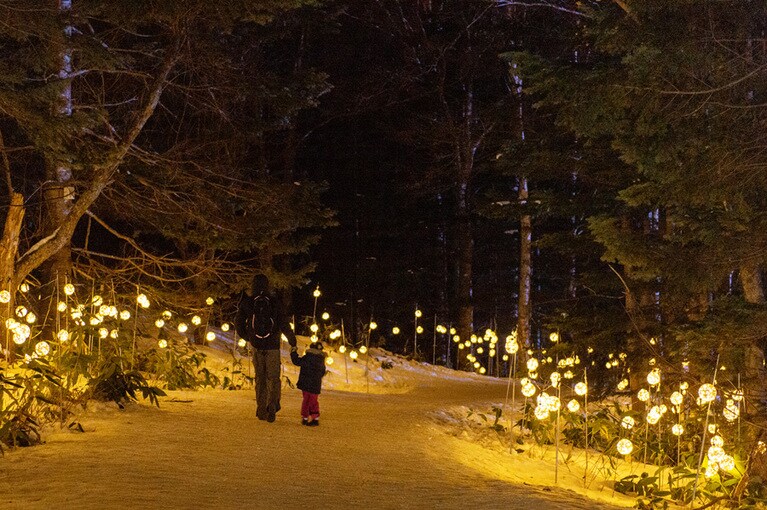 ライトアップされた氷の街は幻想的。