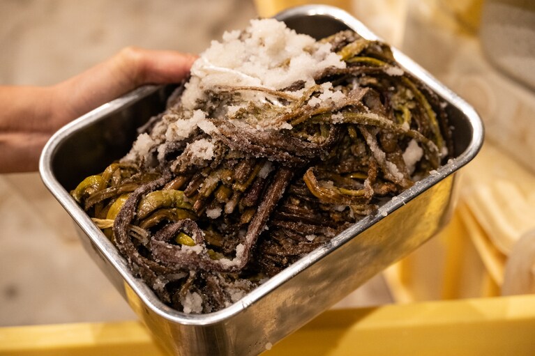 春の山で採ってきた天然のウドは、採りたてをその日のうちに塩漬けにし、発酵部屋で貯蔵したもの。塩を抜き、味を入れてから提供される。