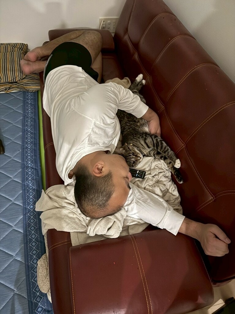 すっかり猫好きに。