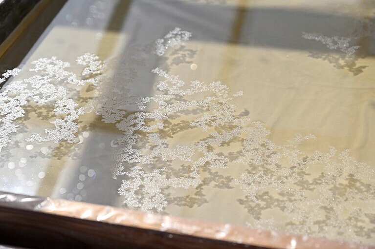 枝条架で濃縮した海水を、太陽と風の力でさらに濃縮し、結晶化していきます。