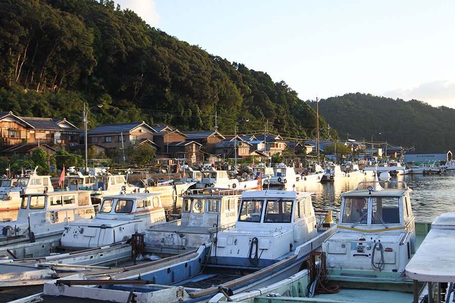 沖島の主産業は漁業。琵琶湖全体の漁獲水揚げ量の半分を担っています。